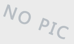 2023春節(jié)放假通知